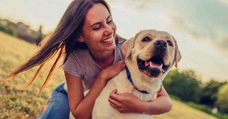 Parcs à chiens dans La Manche